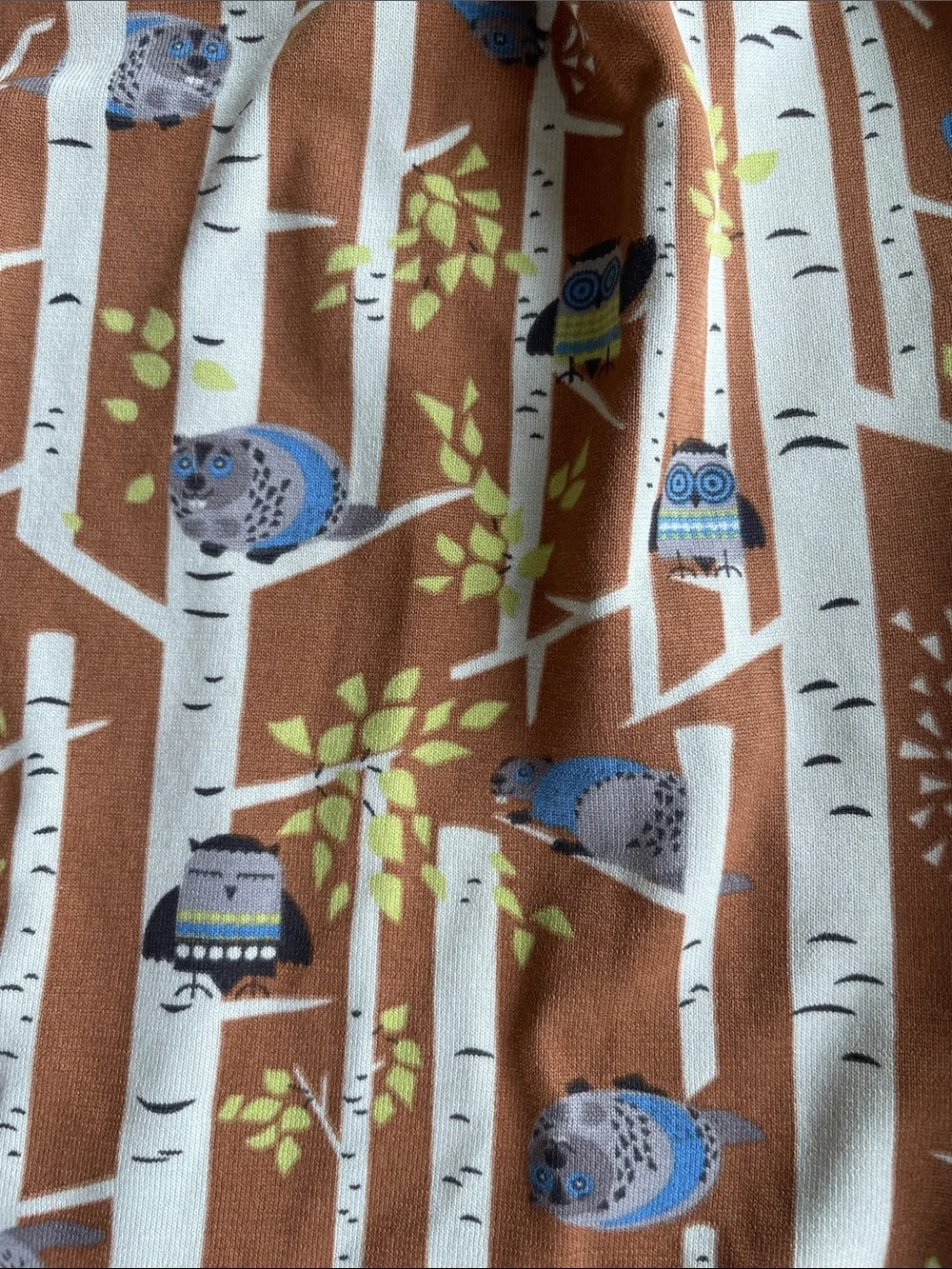 Patagonia owl theme boxers sleep shorts